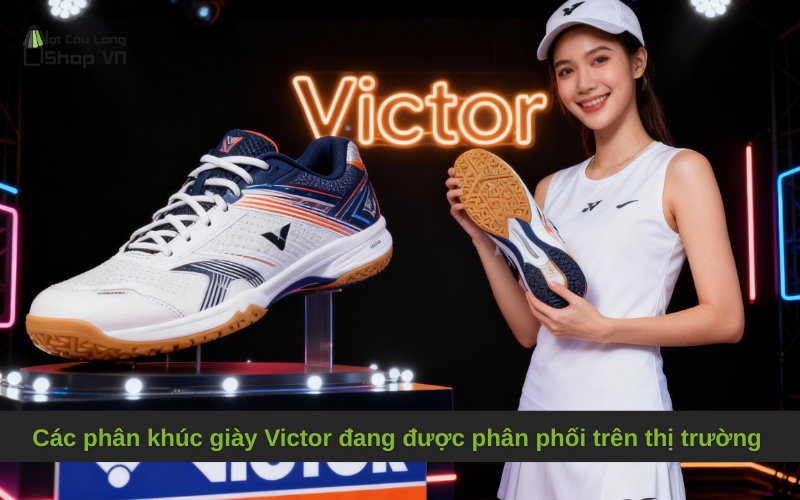 Các phân khúc giày Victor đang được phân phối trên thị trường