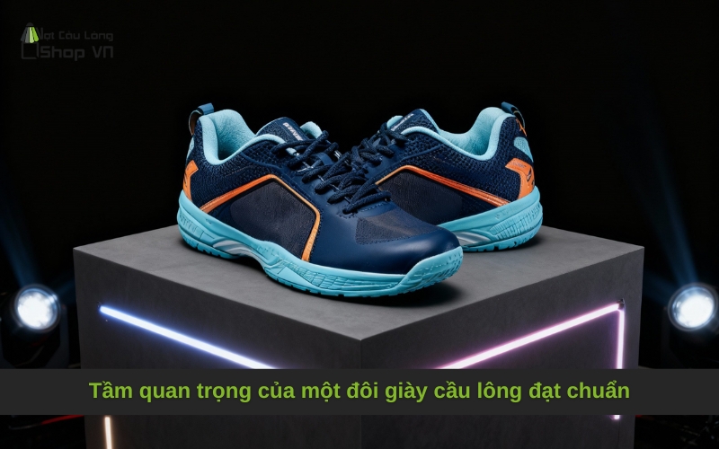 Tầm quan trọng của một đôi giày cầu lông đạt chuẩn
