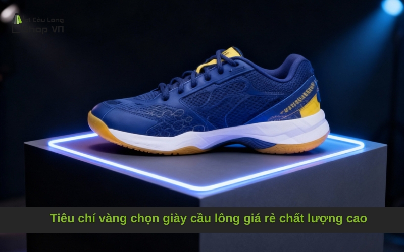 Tiêu chí vàng chọn giày cầu lông giá rẻ chất lượng cao