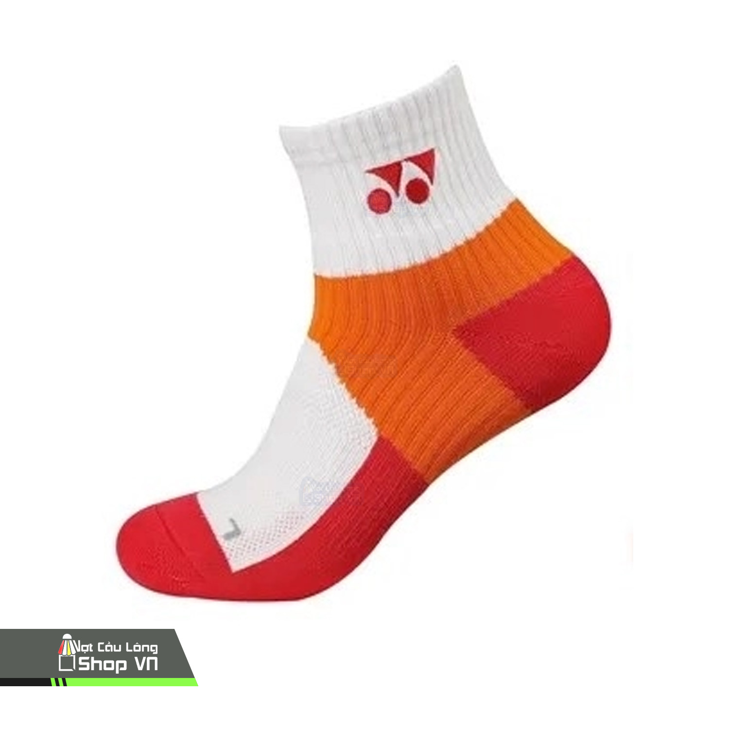 https://votcaulongshop.vn/wp-content/uploads/2025/12/Vo-Cao-Co-T15.jpg