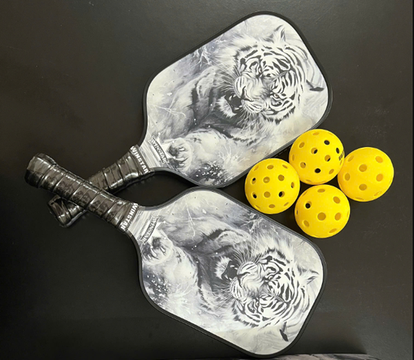 Vợt Cặp Pickleball Winstar Glass Fiber (kèm 4 Bóng)