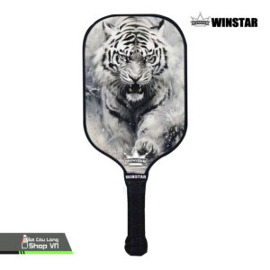 Vợt Cặp Pickleball Winstar Glass Fiber (kèm 4 Bóng)