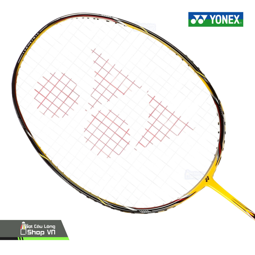 Vợt Cầu Lông Yonex Nanoray 300