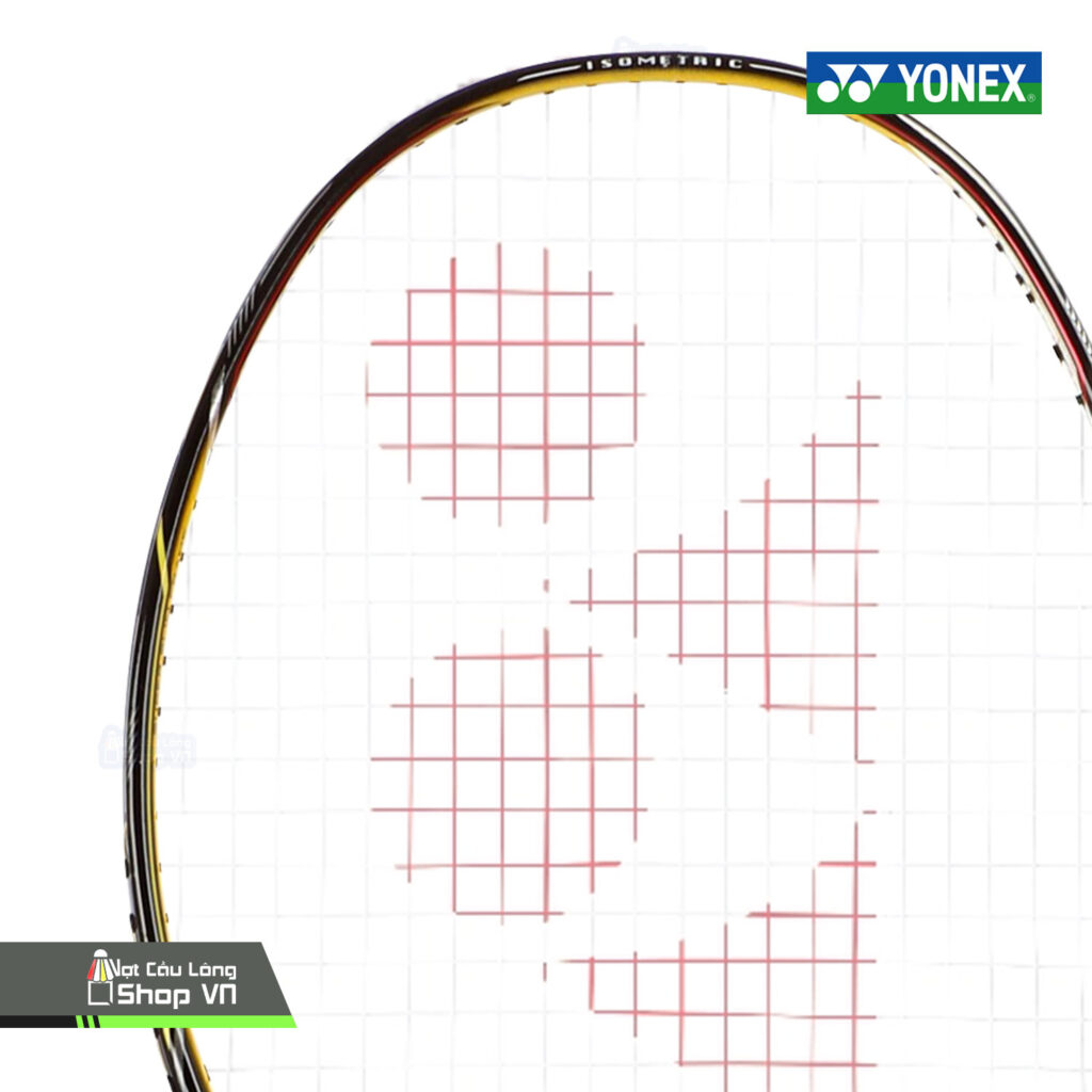 Vợt Cầu Lông Yonex Nanoray 300