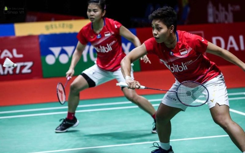 vợt các vận động viên dùng tại Super 300 Pháp 2026